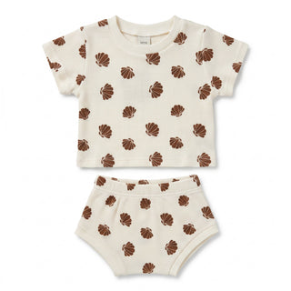 Shell Waffle Summer Set