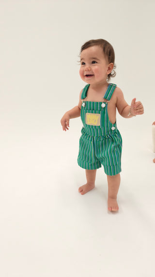 Wide Leg Overall - 90's Green Stripe