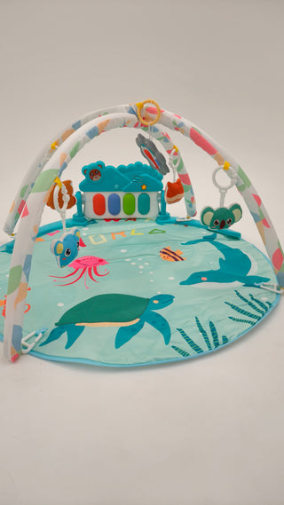 Ocean Activity Gym